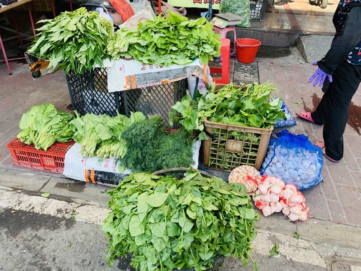 WOKY 恰恰鍋 ：蘆玉雙椒,金瓜米粉炒,茴香煎餅,烹調出洄鄉的恰香美味