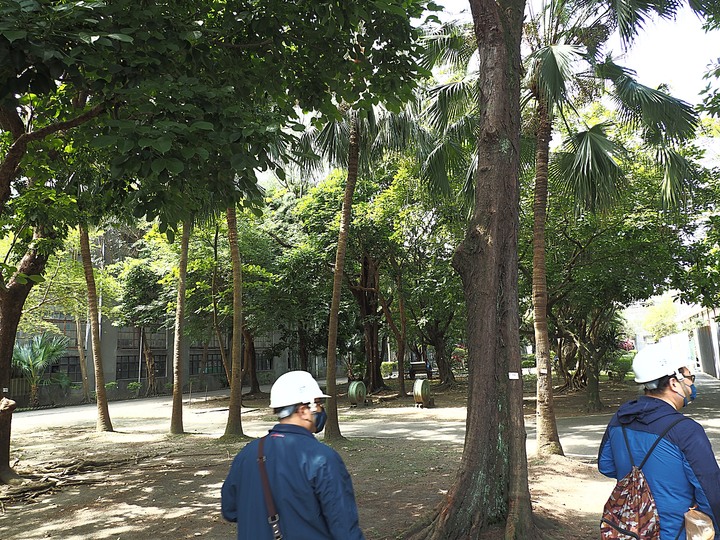 臺北市 信義區 國家鐵道博物館籌備處|臺北機廠 -- 整修中的鐵道工業遺跡