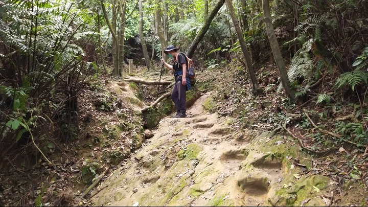 [樂山童盟] [新北汐止] 新山夢湖登山步道