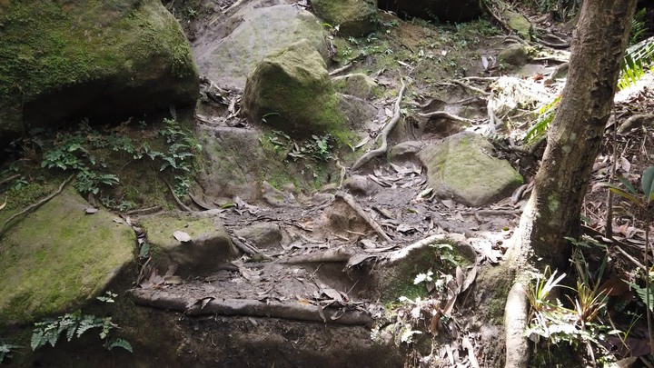 [樂山童盟] [新北汐止] 新山夢湖登山步道