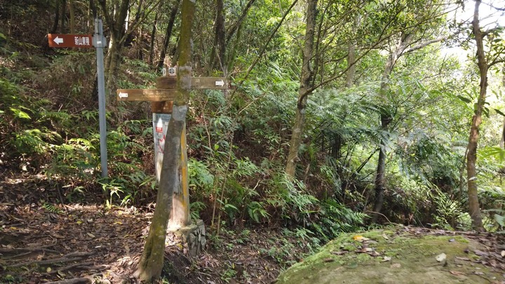 [樂山童盟] [新北汐止] 新山夢湖登山步道