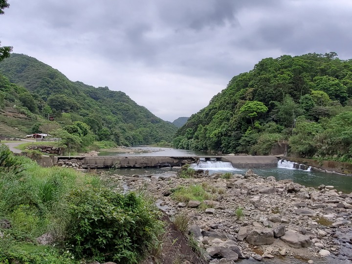 〔坪林健行〕北勢溪自行車步道 - 別再整天綠油油!! 出遊茶園搭配陽光來吧讓我帶你去拍喝茶廣告- 大家注意健康安全