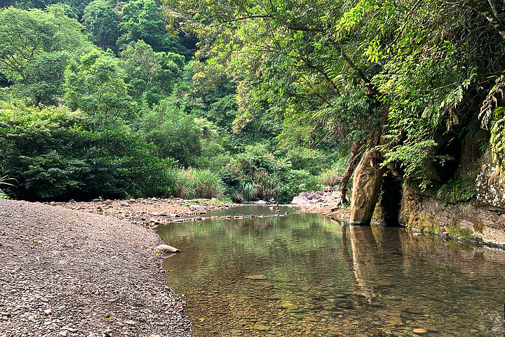 新北坪林|金瓜寮魚蕨步道|夏日親水野溪小徑