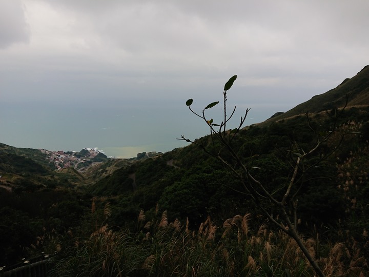 〔新北瑞芳〕無耳茶壺山步道.鼻頭角步道 山海天景全蒐集