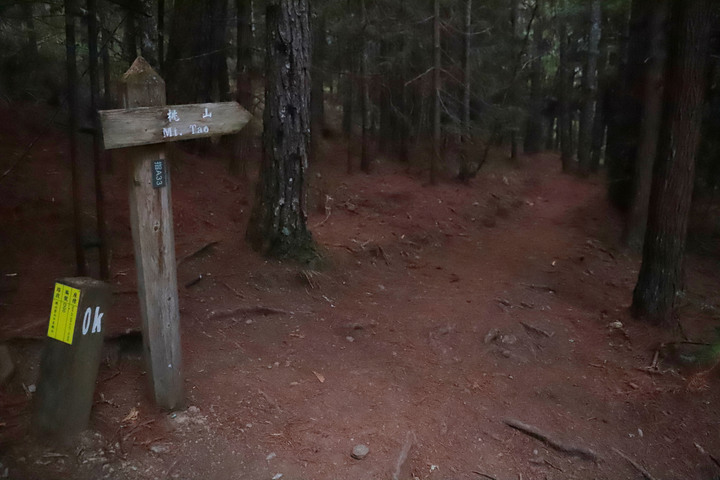 高山268|台中|桃山3325M(上集)|武陵四秀無限風光|和平區