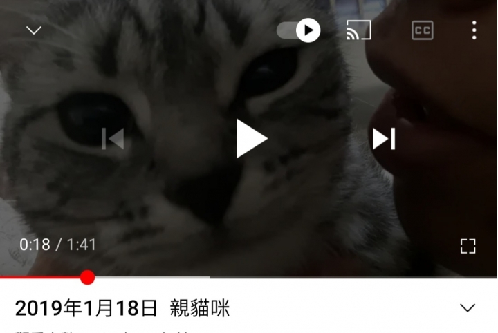 變態噁男在Mobile01 PO強迫親貓虐貓畫面曝光 被提告