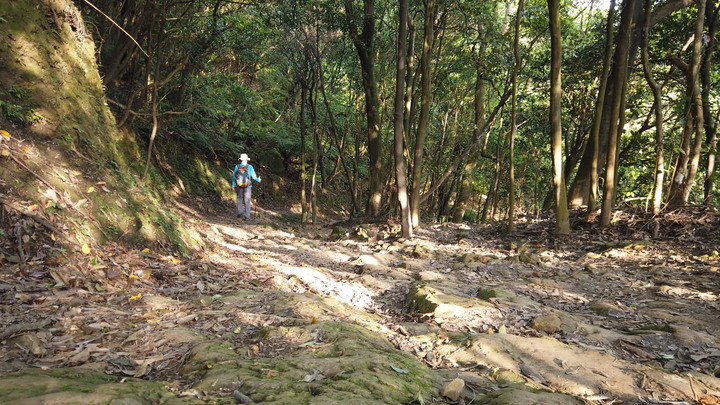 [樂山童盟] [新北汐止] 新山夢湖登山步道