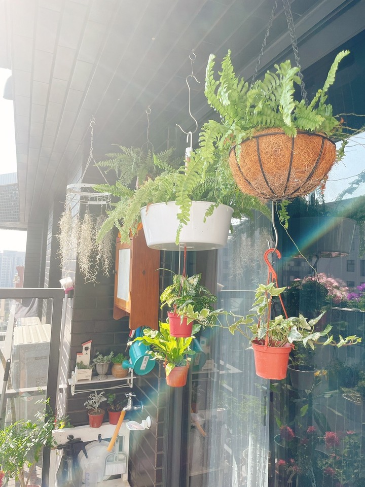 【開箱新家裝潢】北歐風輕三房