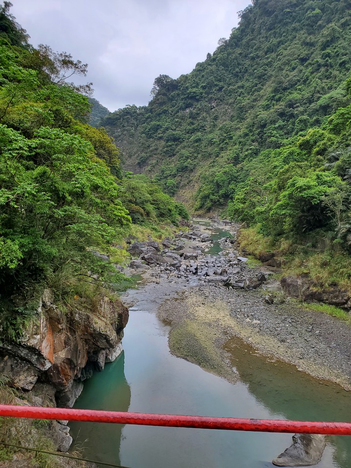 〔烏來健行〕帶著ZEISS蔡司望遠鏡賞鳥去- 信賢步道