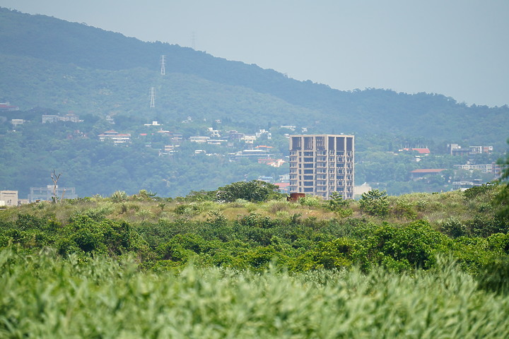 Tamron 150-500mm f/5-6.7 Di III VC VXD(A057)評測報告|緊湊鏡身 畫質優異!