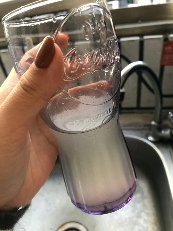 老人益生菌推薦～好益活vs葡萄王的益生菌比較