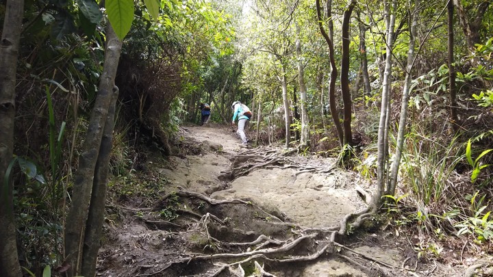 [樂山童盟] [新北汐止] 新山夢湖登山步道