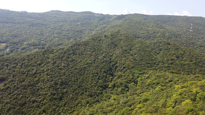 [樂山童盟] [新北汐止] 新山夢湖登山步道