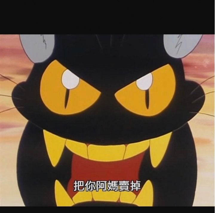 貓咪很可愛 可是黑貓總感覺很邪惡