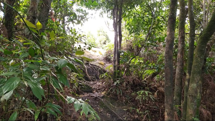 [樂山童盟] [新北汐止] 新山夢湖登山步道