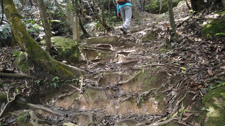 [樂山童盟] [新北汐止] 新山夢湖登山步道