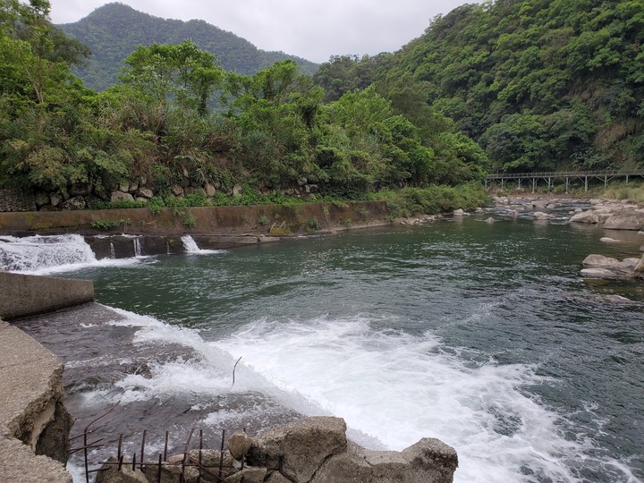 〔坪林健行〕北勢溪自行車步道 - 別再整天綠油油!! 出遊茶園搭配陽光來吧讓我帶你去拍喝茶廣告- 大家注意健康安全