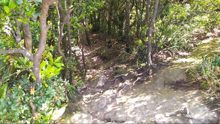 [樂山童盟] [新北汐止] 新山夢湖登山步道