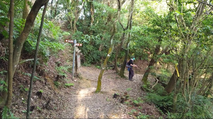 [樂山童盟] [新北汐止] 新山夢湖登山步道