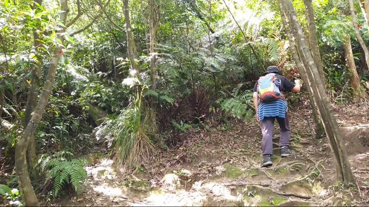 [樂山童盟] [新北汐止] 新山夢湖登山步道