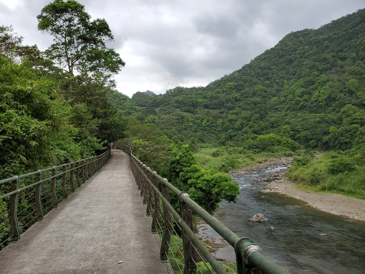 〔坪林健行〕北勢溪自行車步道 - 別再整天綠油油!! 出遊茶園搭配陽光來吧讓我帶你去拍喝茶廣告- 大家注意健康安全