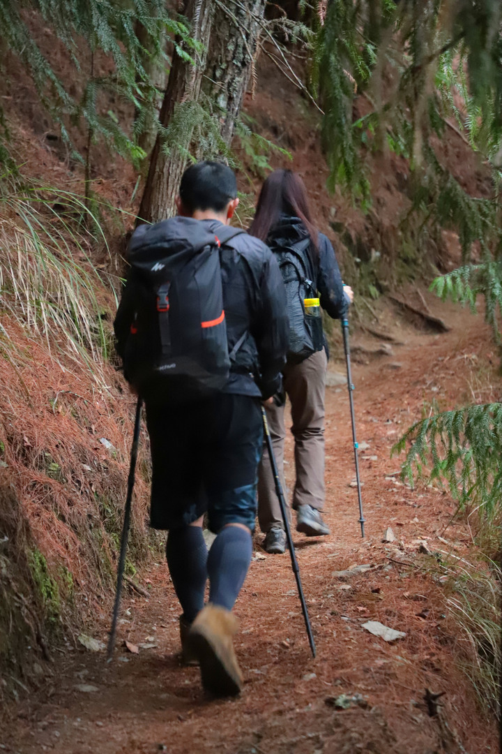 高山268|台中|桃山3325M(上集)|武陵四秀無限風光|和平區