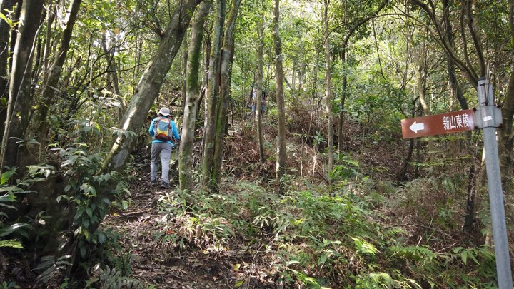 [樂山童盟] [新北汐止] 新山夢湖登山步道