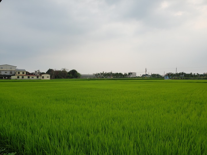 〔旗美健行〕都知道旗山美濃 但你可能不知道這裡?! 聖若瑟天主堂 清歡書院伯夷山莊 獅子頭水圳漂漂河