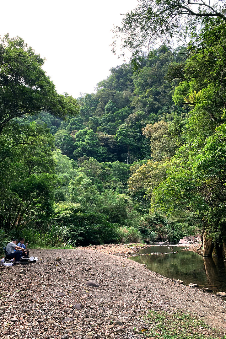 新北坪林|金瓜寮魚蕨步道|夏日親水野溪小徑