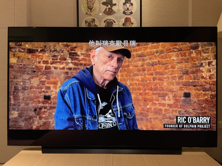 LG CX不同影像模式分享