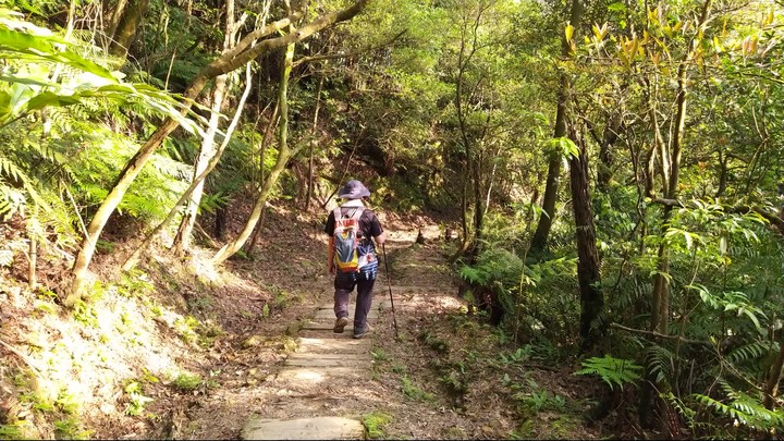 [樂山童盟] [新北汐止] 新山夢湖登山步道