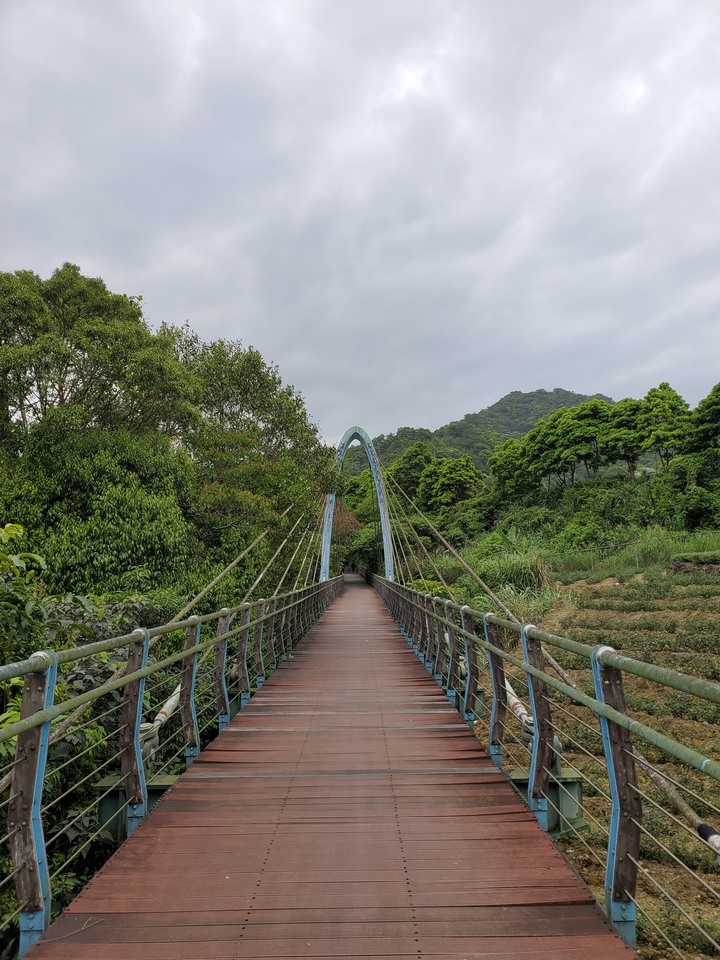 〔坪林健行〕北勢溪自行車步道 - 別再整天綠油油!! 出遊茶園搭配陽光來吧讓我帶你去拍喝茶廣告- 大家注意健康安全
