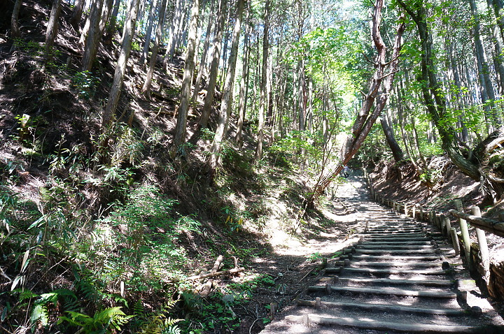 大阪最高山- 金剛山ハイキングきっぷ|