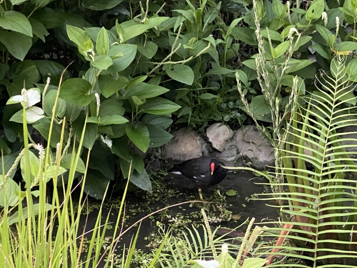 親身體驗購買公園宅的優缺點