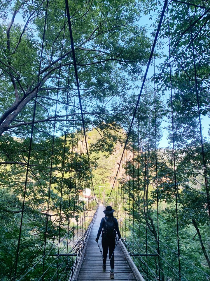 台中和平|志佳陽大山.百岳單攻聖品,陡上1700公尺享受群山環繞美景