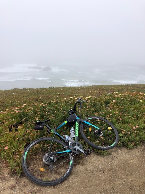 (2021夏) 🚴🇺🇸 北加漂亮濱海太平洋公路 一日騎遊 :