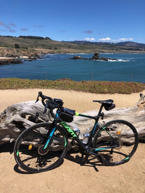 (2021夏) 🚴🇺🇸 北加漂亮濱海太平洋公路 一日騎遊 :