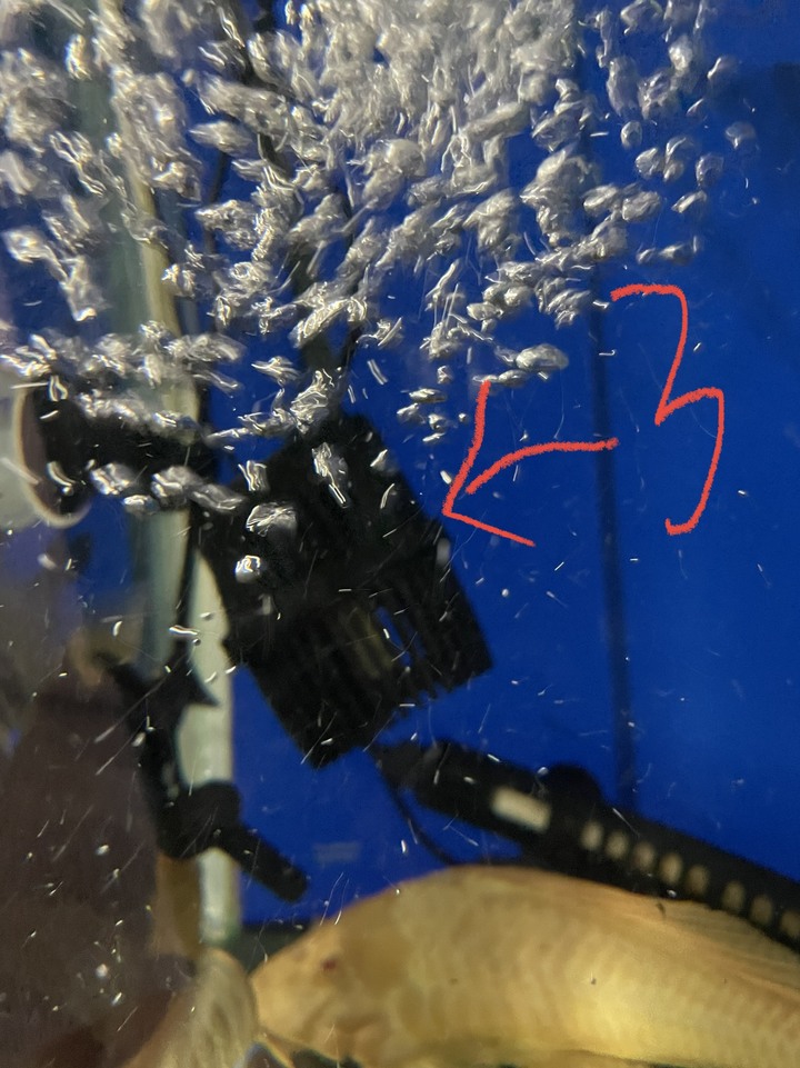 （水族）我們公司水族箱的東西掉了
