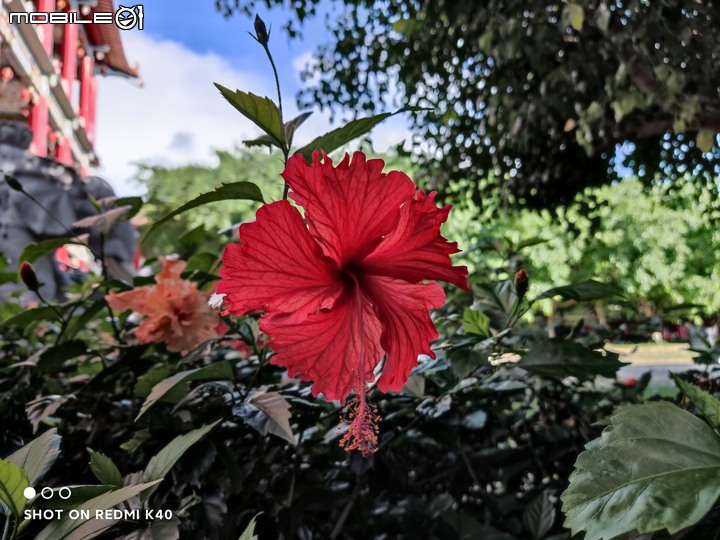 「 開箱 」Redmi K40、OPPO Find X3、iQOO Neo5 深度開箱 - SnapDragon 870手機對比