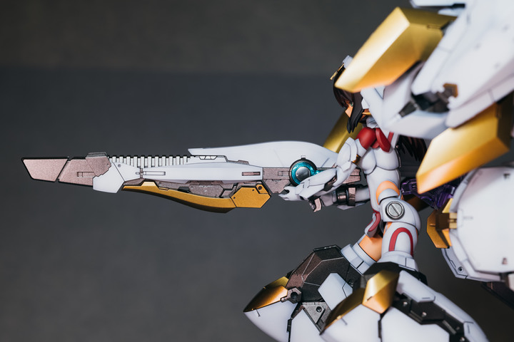 【作品分享】女神裝置 兼志谷星 象神裝備