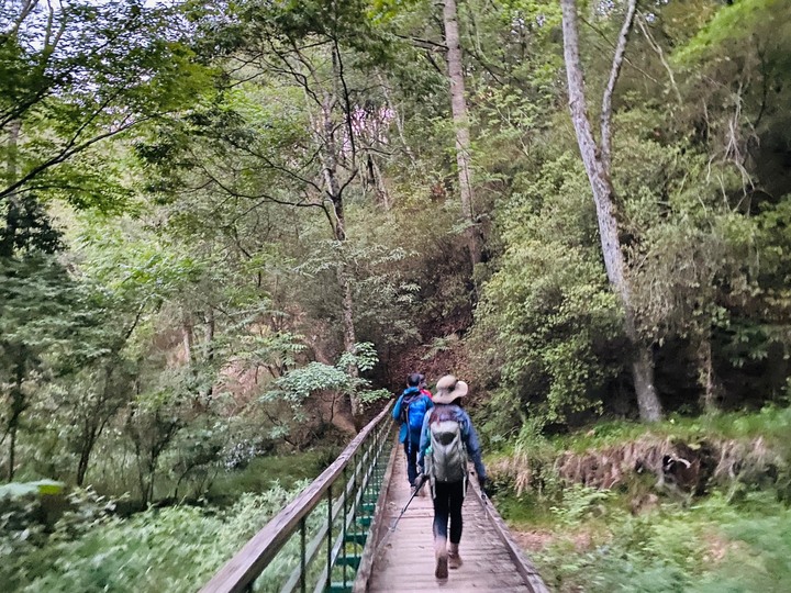 台中和平|志佳陽大山.百岳單攻聖品,陡上1700公尺享受群山環繞美景