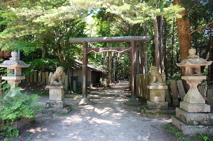 大阪最高山- 金剛山ハイキングきっぷ|