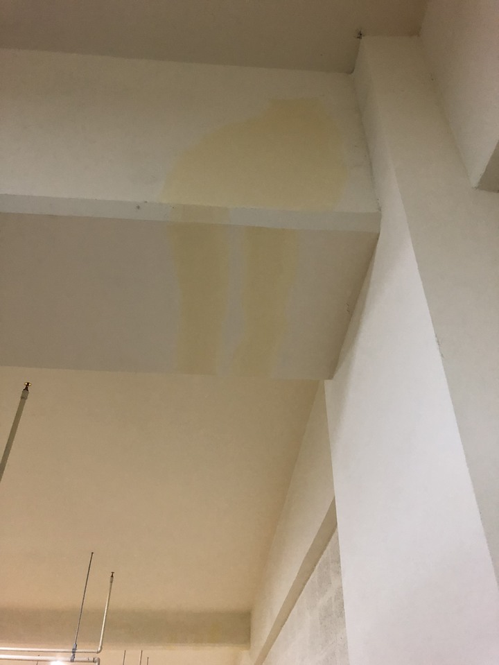 這壁癌修補嗎？