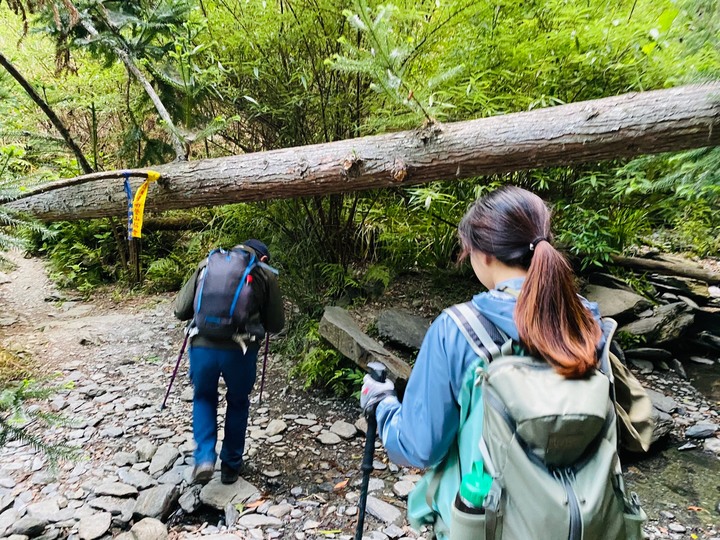台中和平|志佳陽大山.百岳單攻聖品,陡上1700公尺享受群山環繞美景
