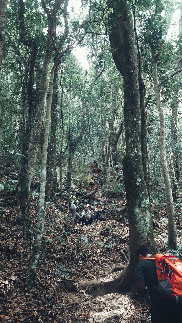 初心者的中級大霸尖山苗栗虎山