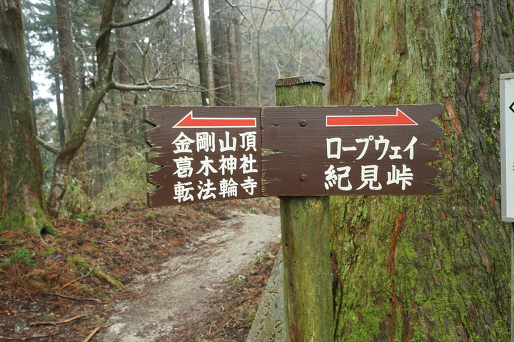 冬季漫步大阪最高山-金剛山葛木神社攻頂遊記