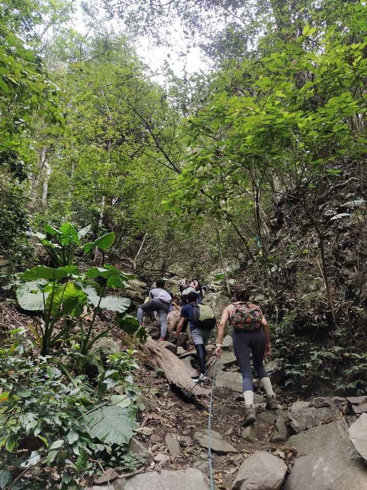 初心者的中級大霸尖山苗栗虎山