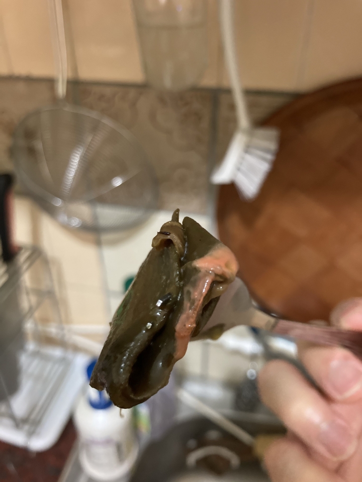 請問剝皮辣椒這樣是壞掉了嗎？