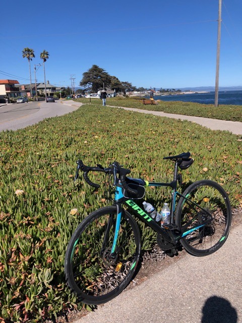 (2021夏) 🚴🇺🇸 北加漂亮濱海太平洋公路 一日騎遊 :