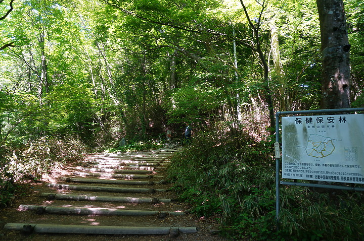 大阪最高山- 金剛山ハイキングきっぷ|